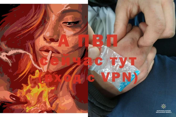 apvp Надым